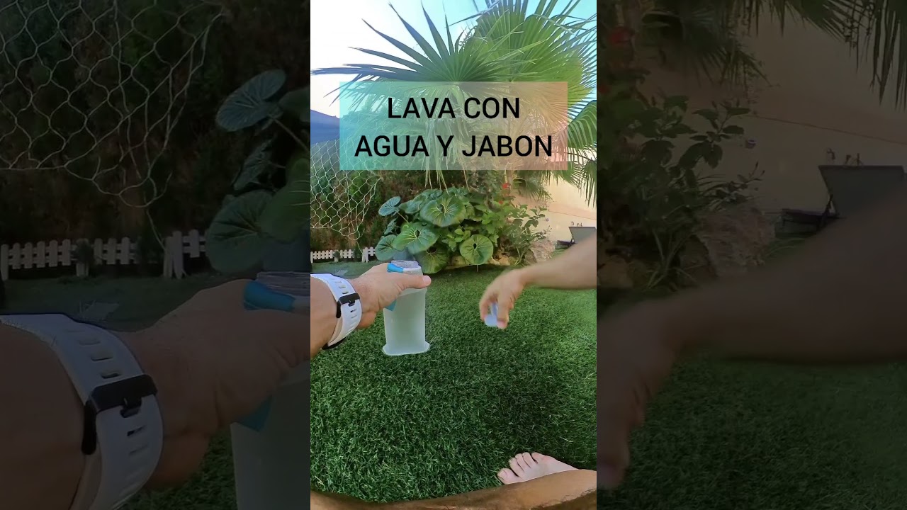 avispas que te pican una experiencia aterradora