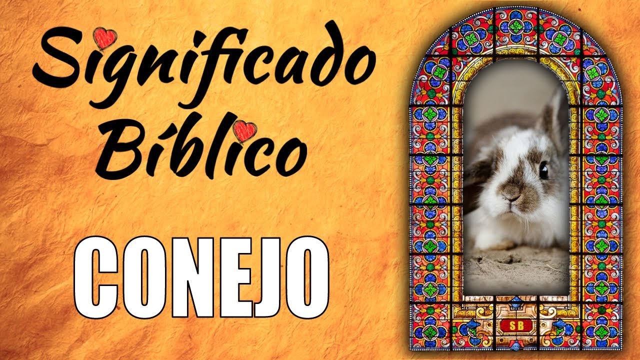 conejos segun la biblia significado y simbolismo