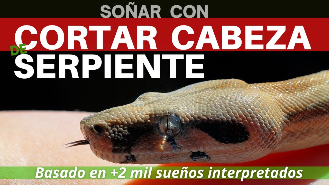 cortar la cabeza de una serpiente que significa este sueno