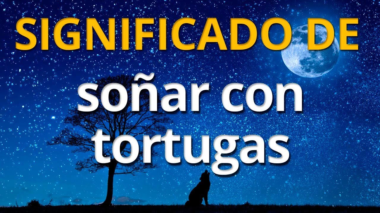 jicotea numero que significa este sueno