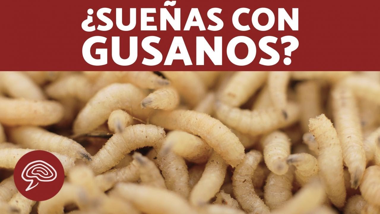 larvas blancas que significado tienen en tus suenos