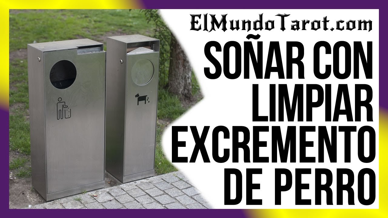 limpiar excremento de perro que significa este sueno