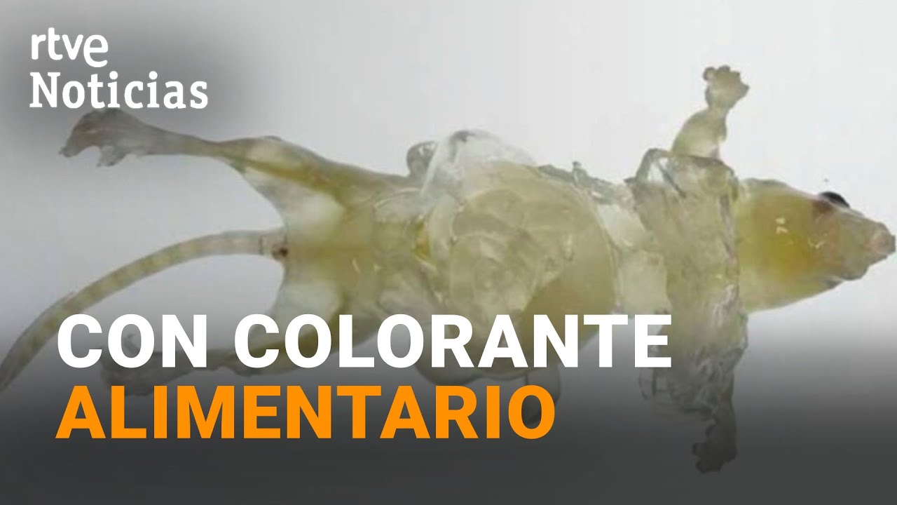 ratones invisibles