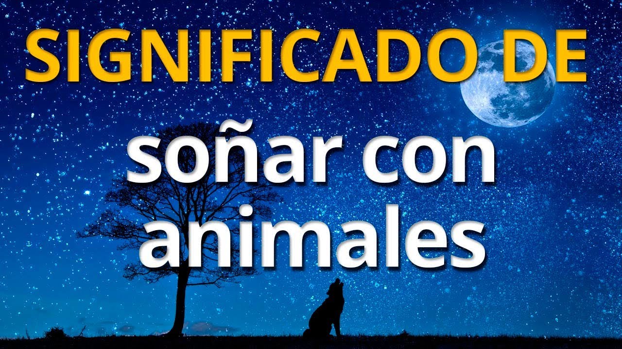 reptiles significado y simbolismo de los suenos con estos fascinantes animales