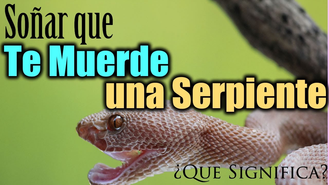 serpientes que te muerden