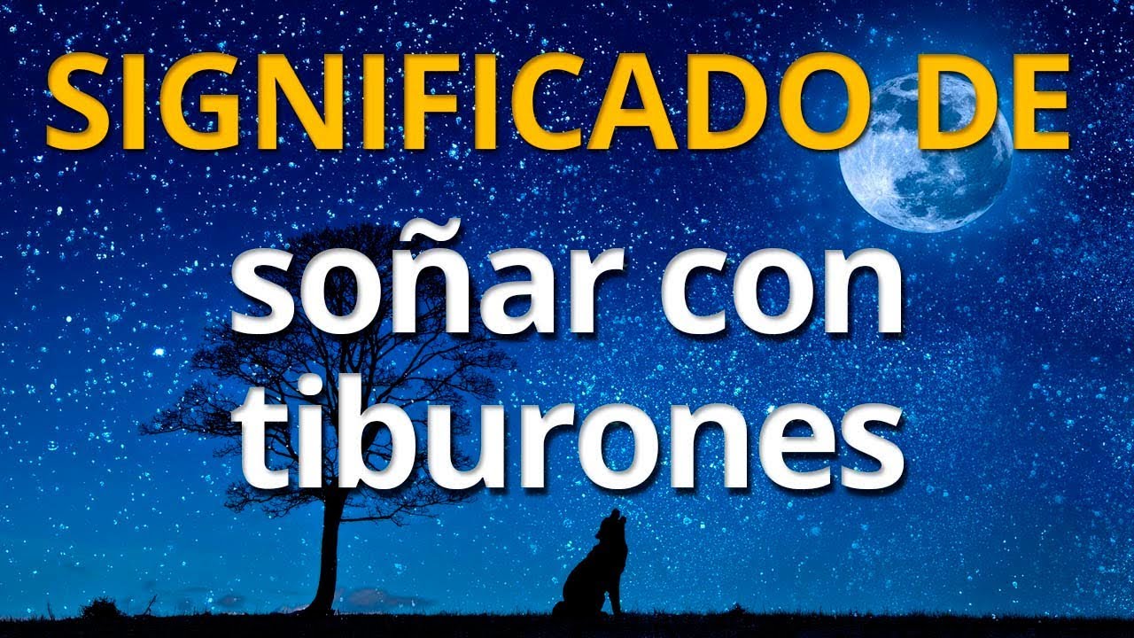 tiburones significado y interpretacion