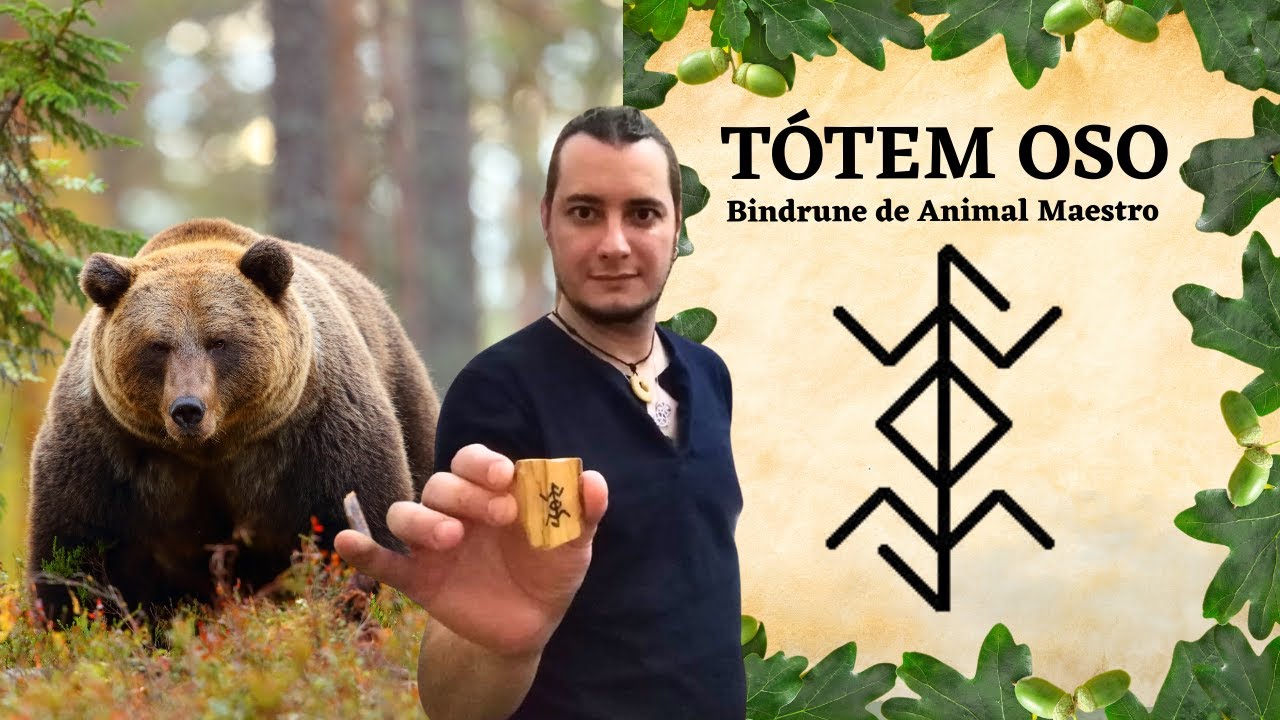 un oso significado y simbolismo