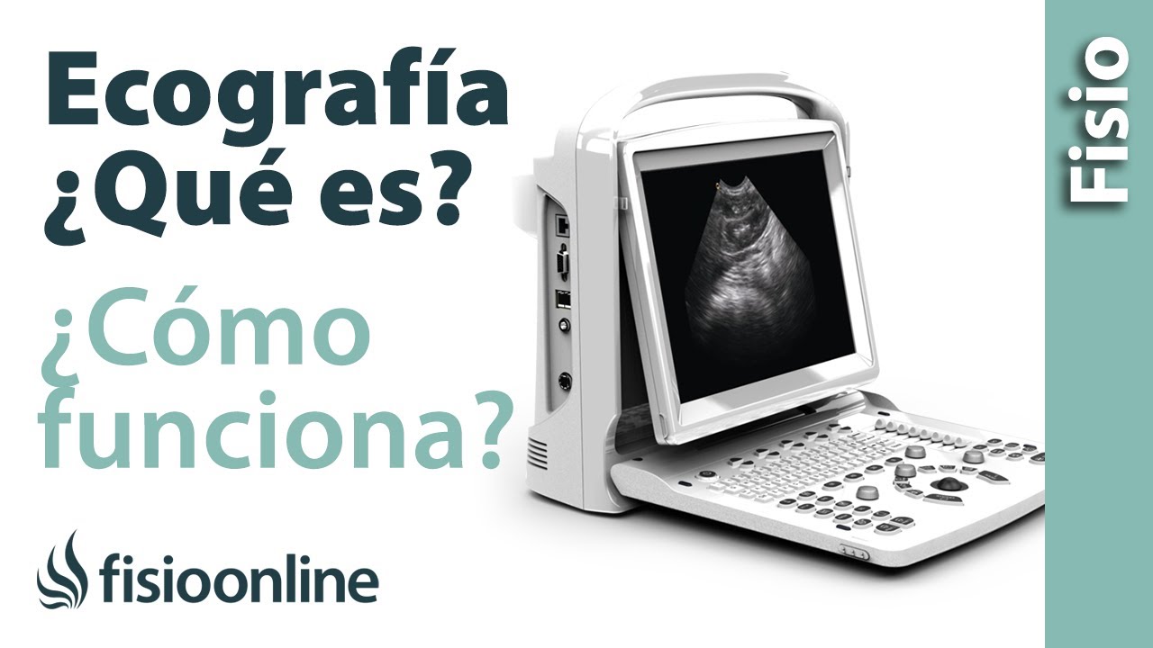 una ecografia que significa