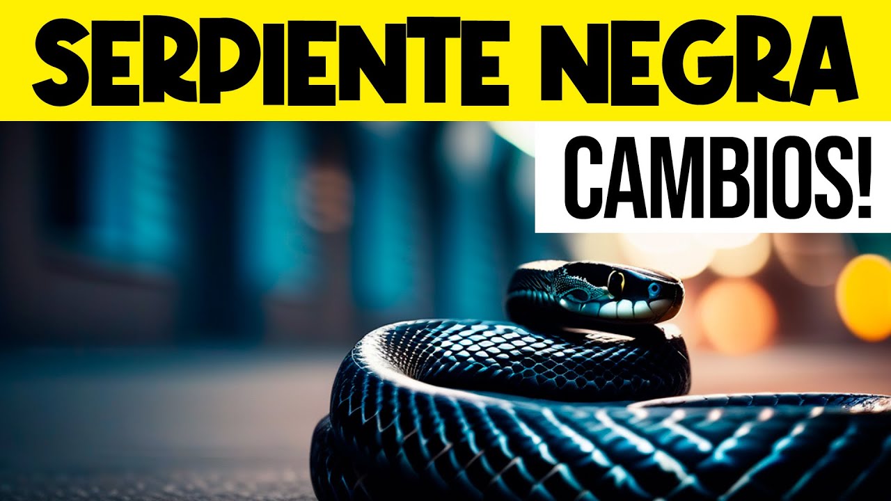 una serpiente negra significado e interpretacion
