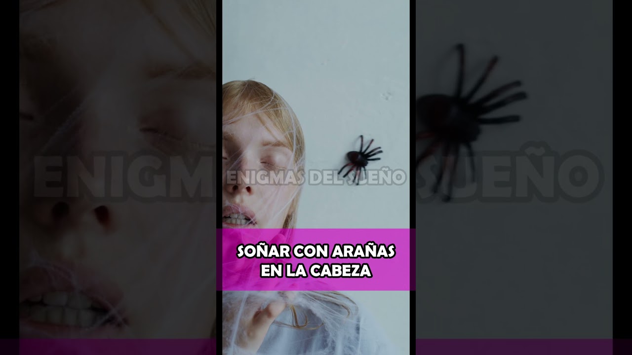 aranas en el cuerpo que significado tiene este sueno