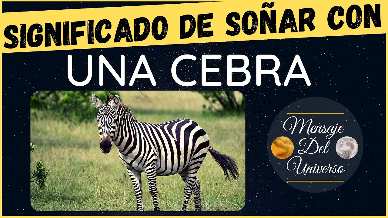 cebras significado y simbolismo en los suenos