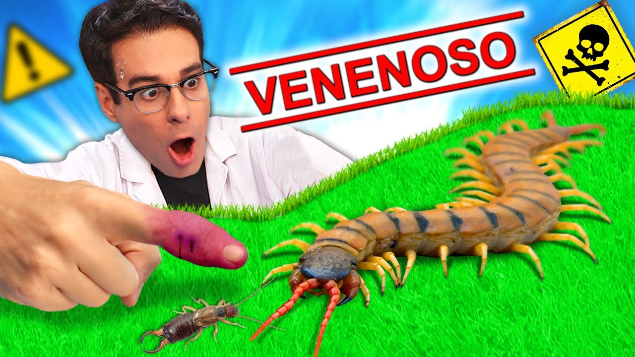 ciempies y matarlos una experiencia inquietante y desafiante