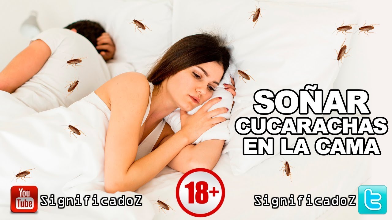 cucarachas bajo la cama que significa este sueno