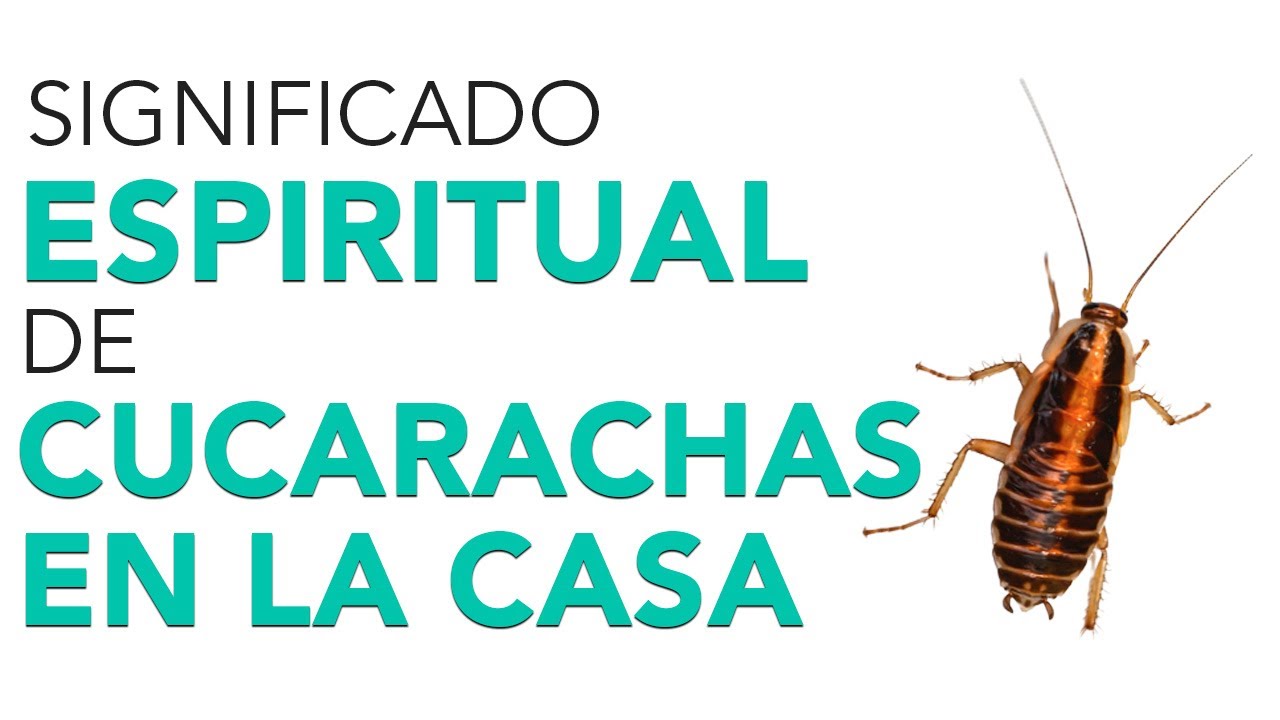 cucarachas significado y para que es