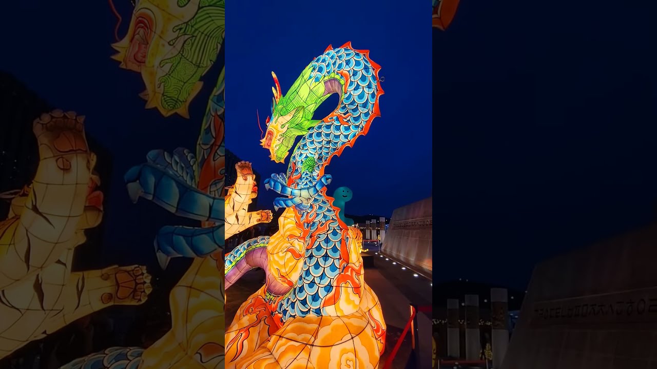 dragones volando una experiencia magica y fascinante