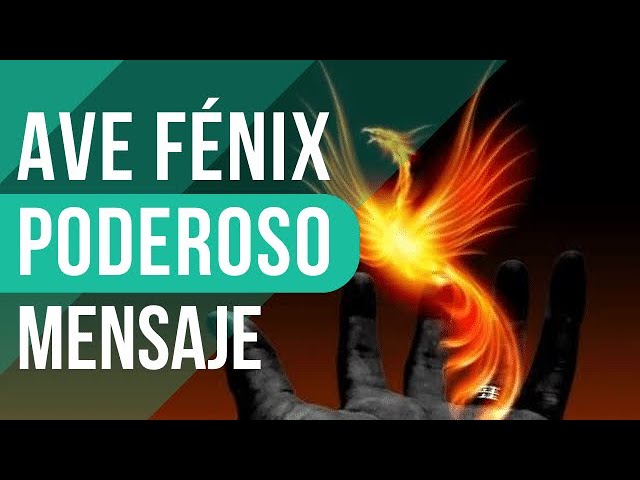 el ave fenix un renacer en tus suenos