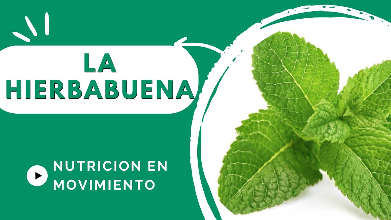 la frescura de la hierbabuena