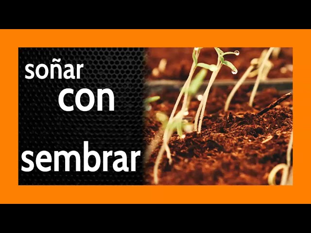 la siembra de suenos