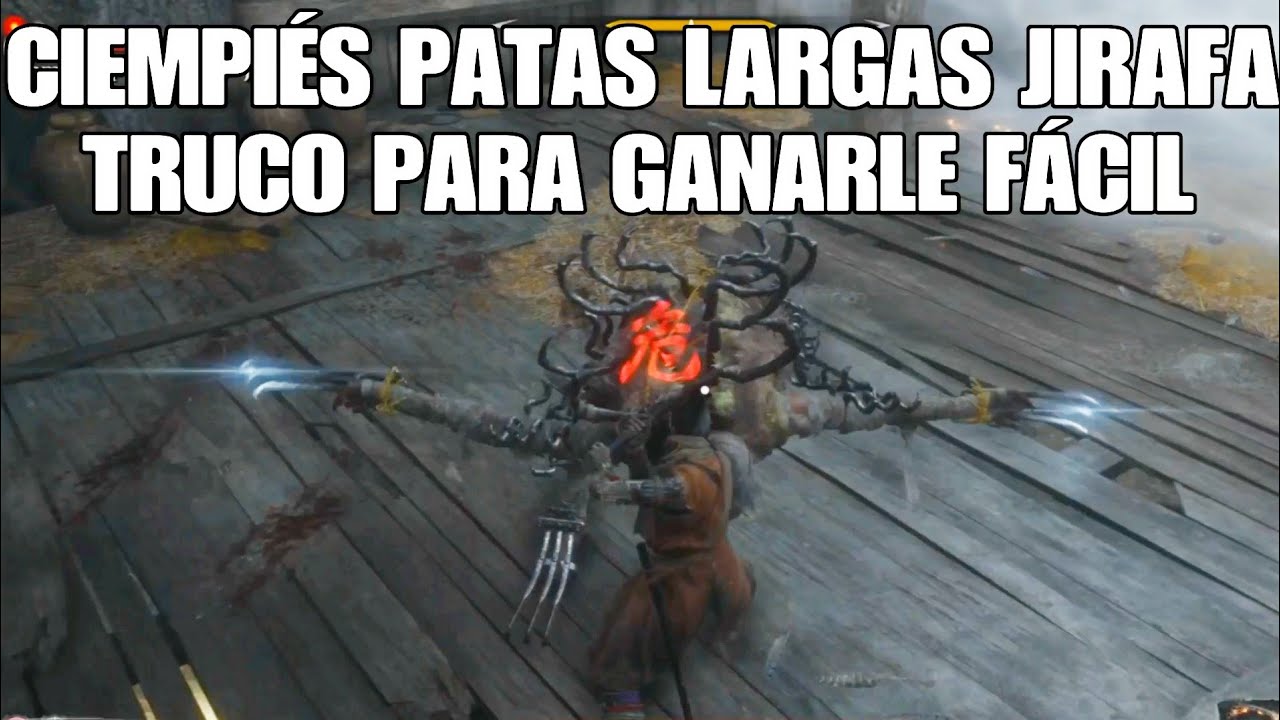 las largas patas de una jirafa
