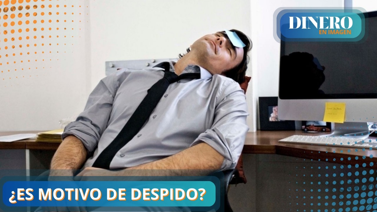 lft que significa este sueno