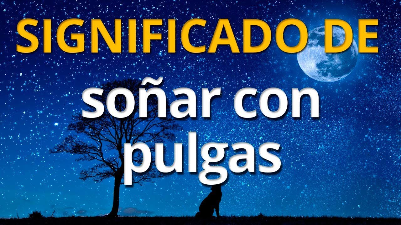 pulgas en la cama que significa este sueno