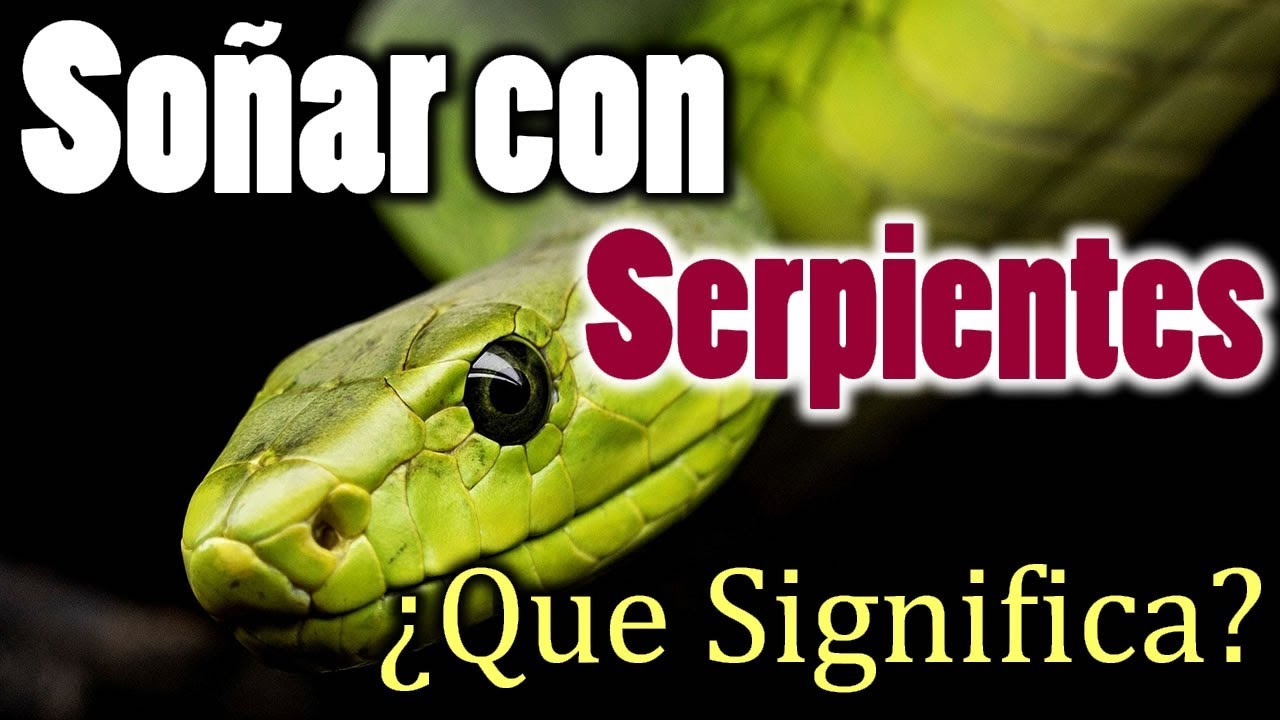 serpientes significado e interpretacion