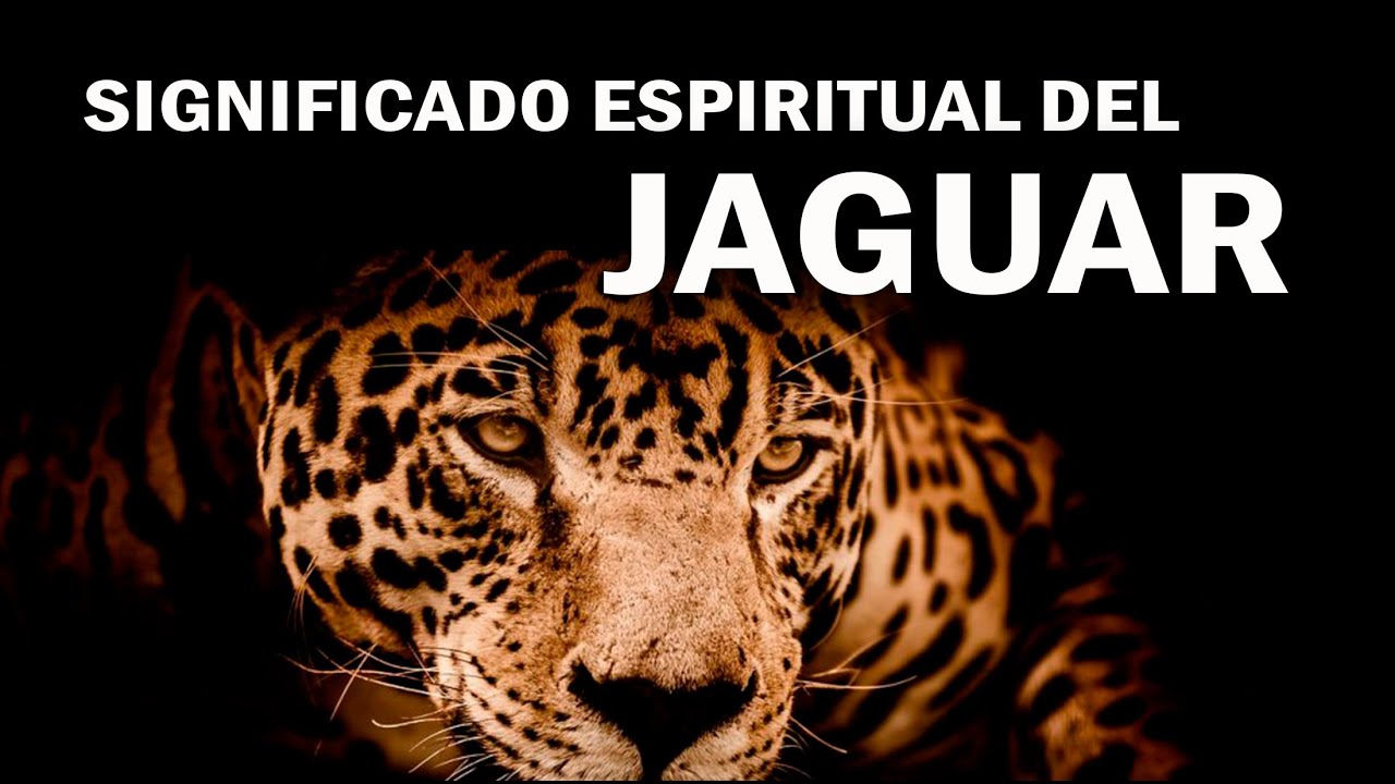 un jaguar significado y simbolismo