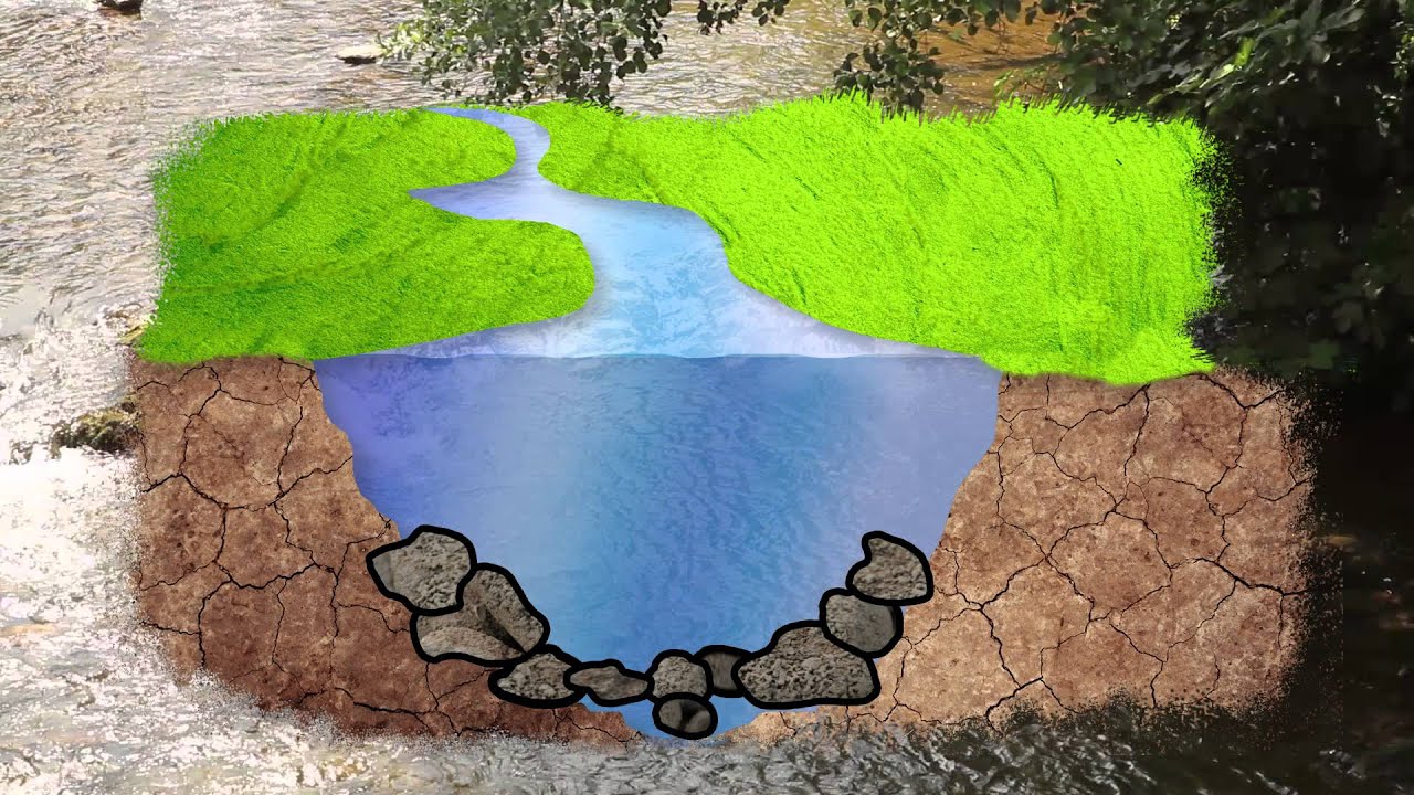 un rio de agua limpia