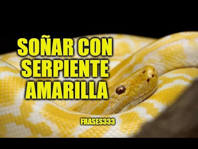 una serpiente amarilla
