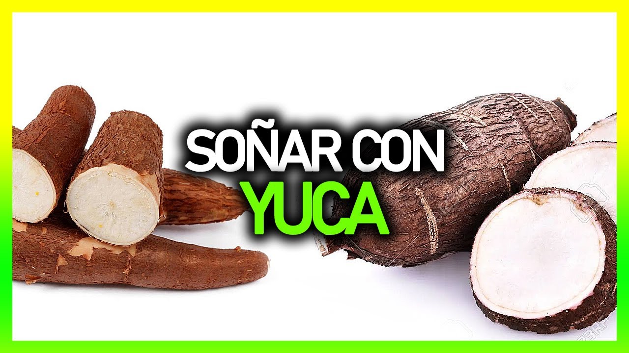 yca que significa este sueno