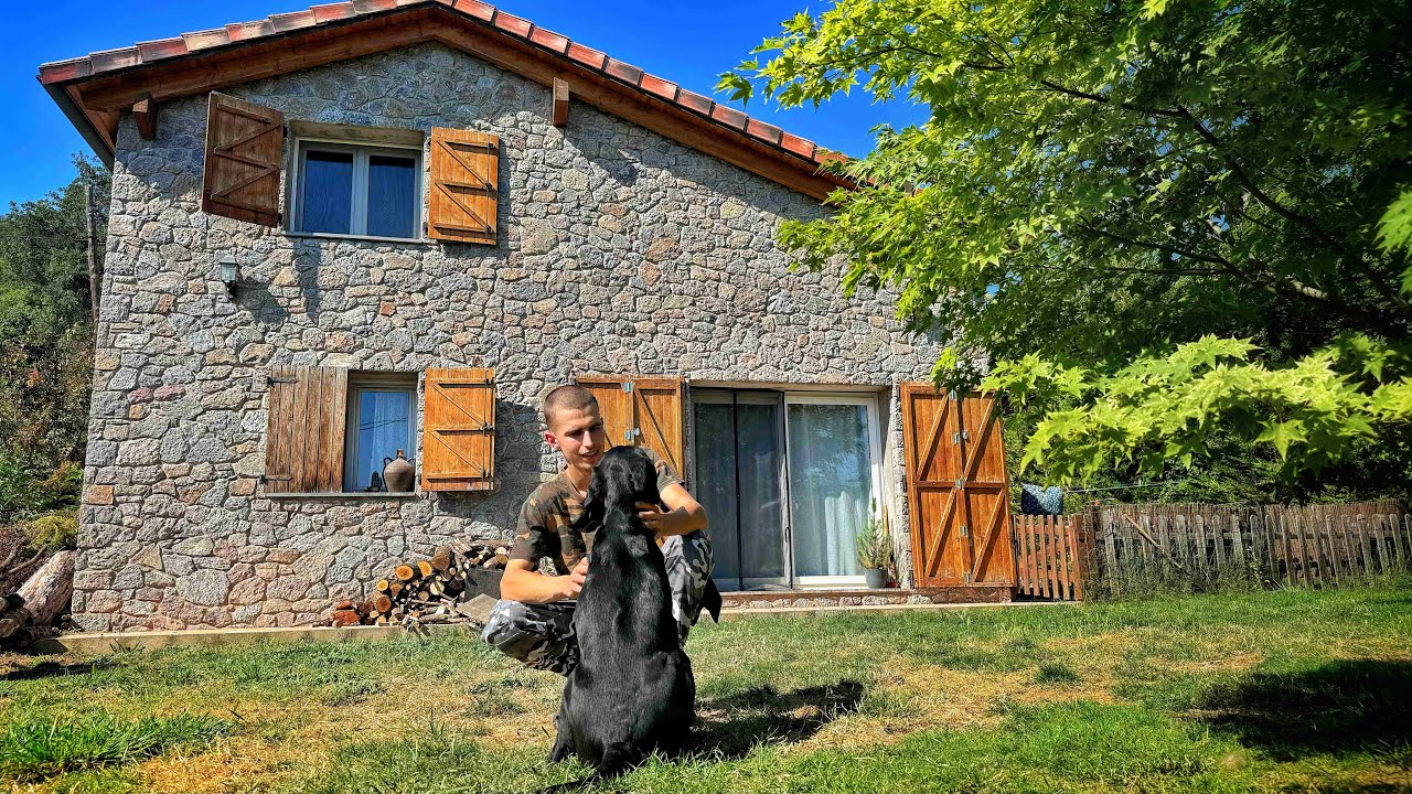 animales de granja una experiencia rural en tus suenos