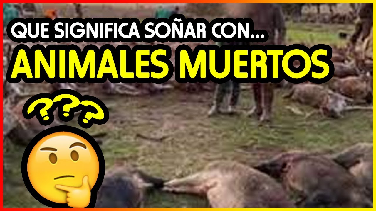 animales muertos que significado tiene este sueno