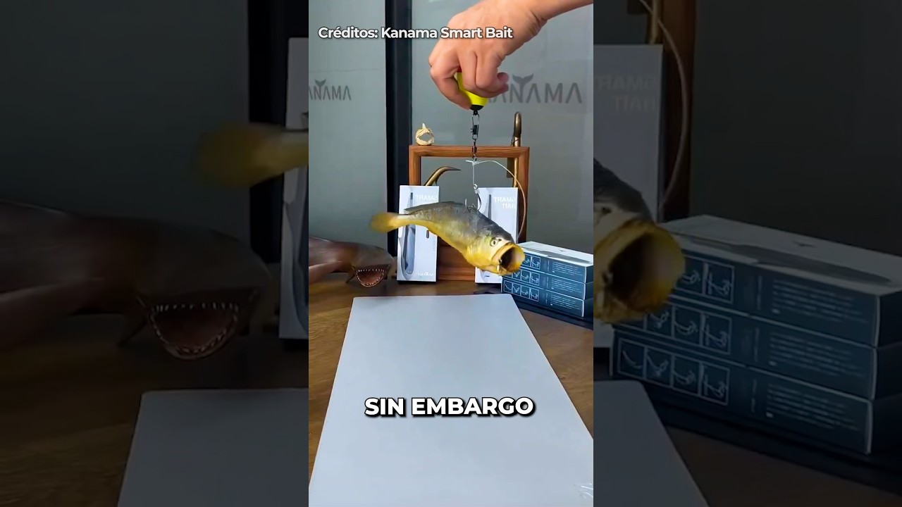 atrapar un pez grande una experiencia llena de emociones acuaticas
