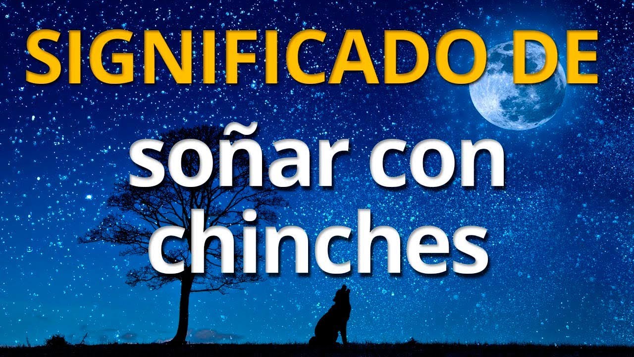 chinches que significado tiene este sueno