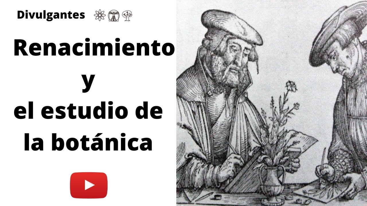 el renacimiento de la naturaleza brotes de plantas