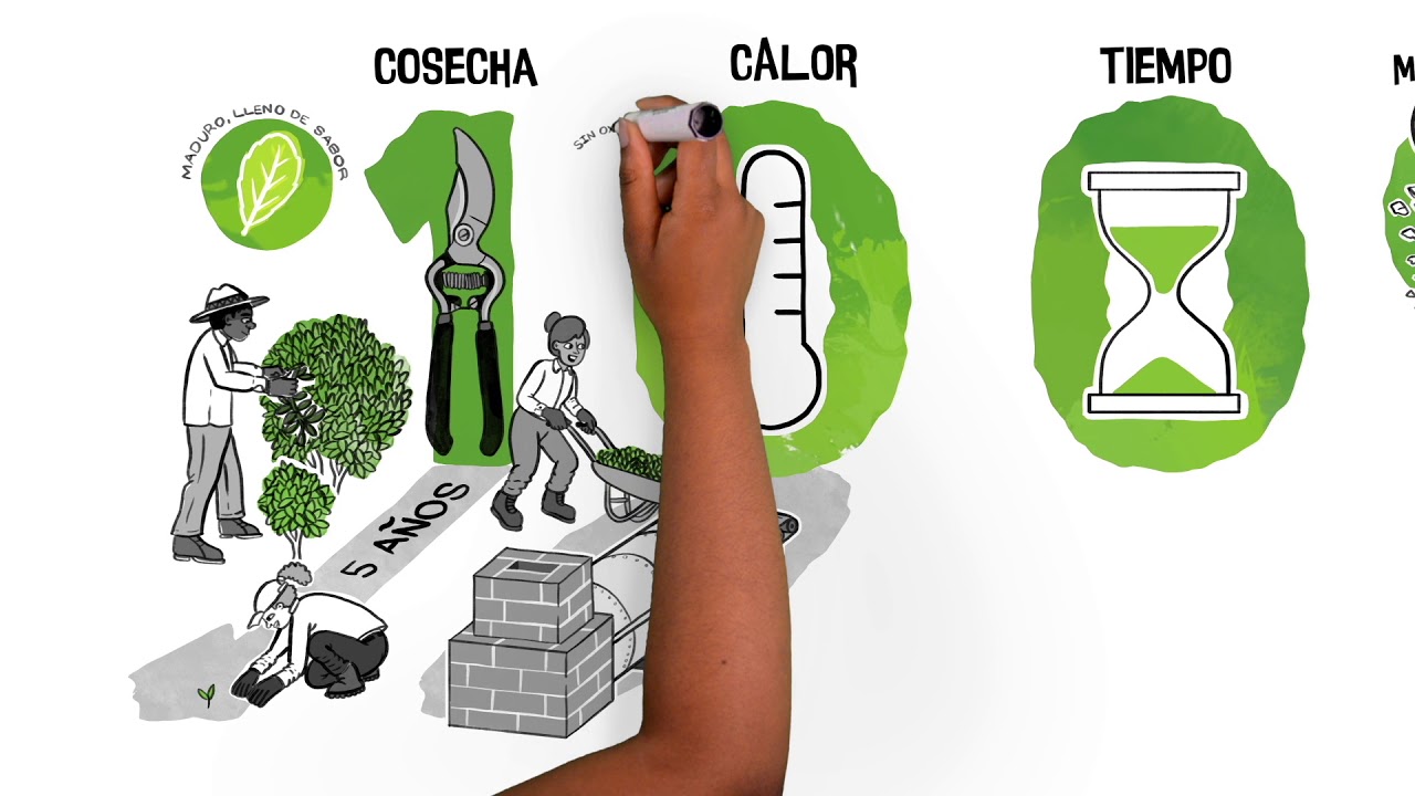 el sabor de la yerba mate