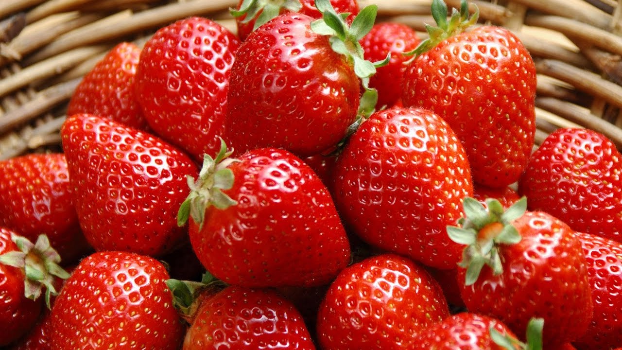 frutillas significado y simbolismo de este sueno