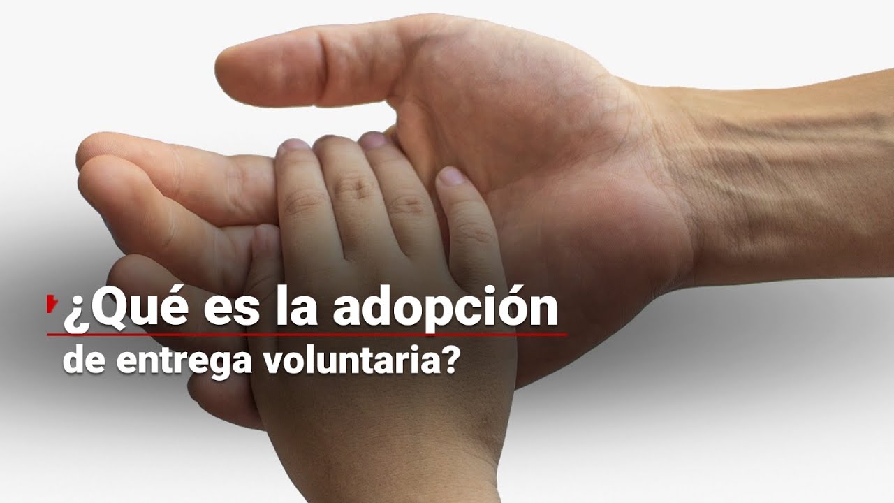 la adopcion de un bebe