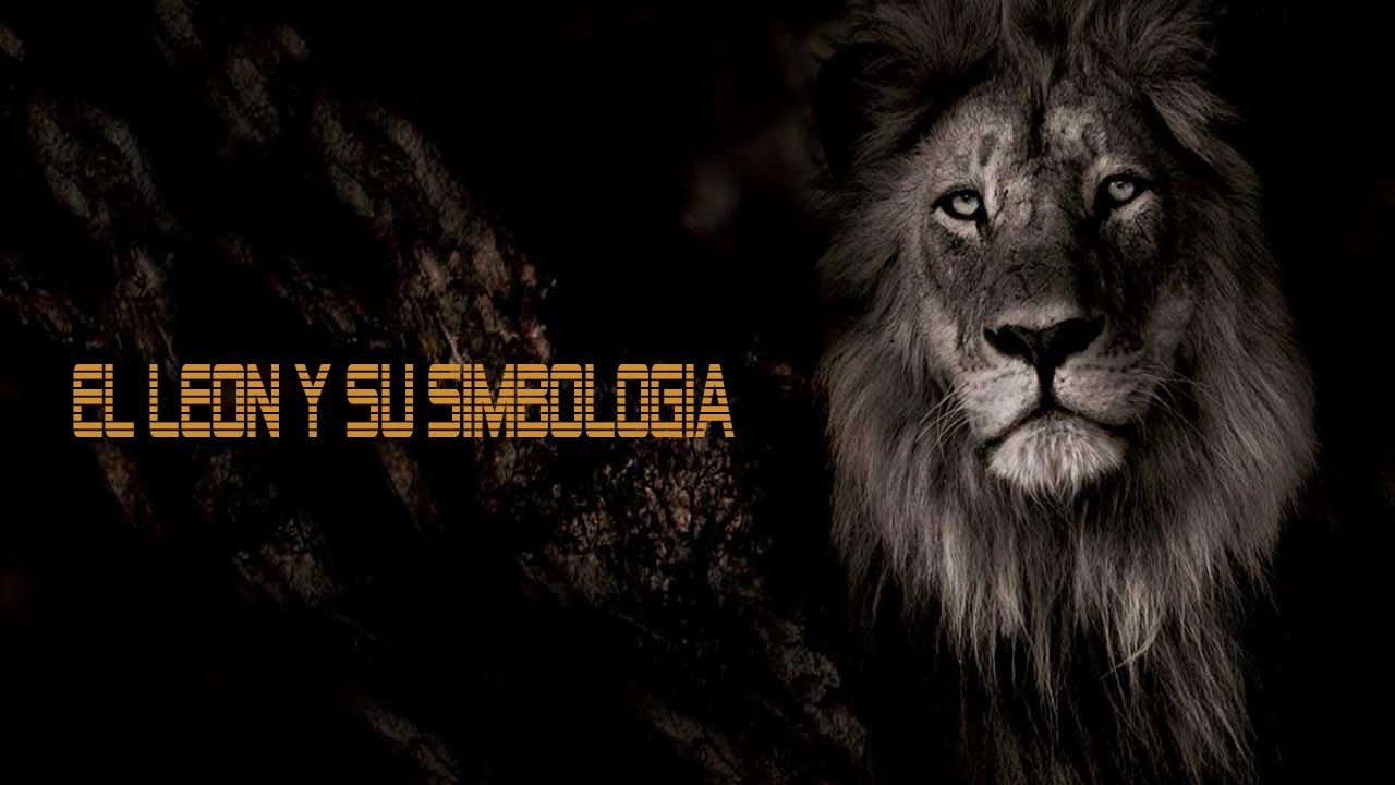 leones y su significado