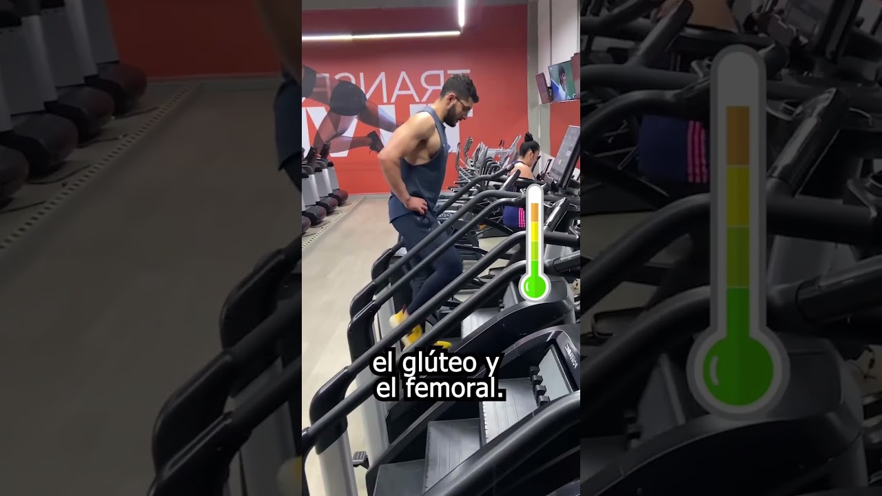 maquinas de gimnasio un mensaje para mejorar tu bienestar fisico