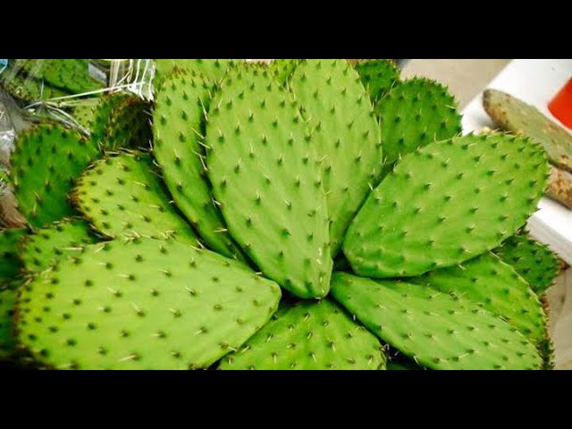nopales pelados que significa este sueno
