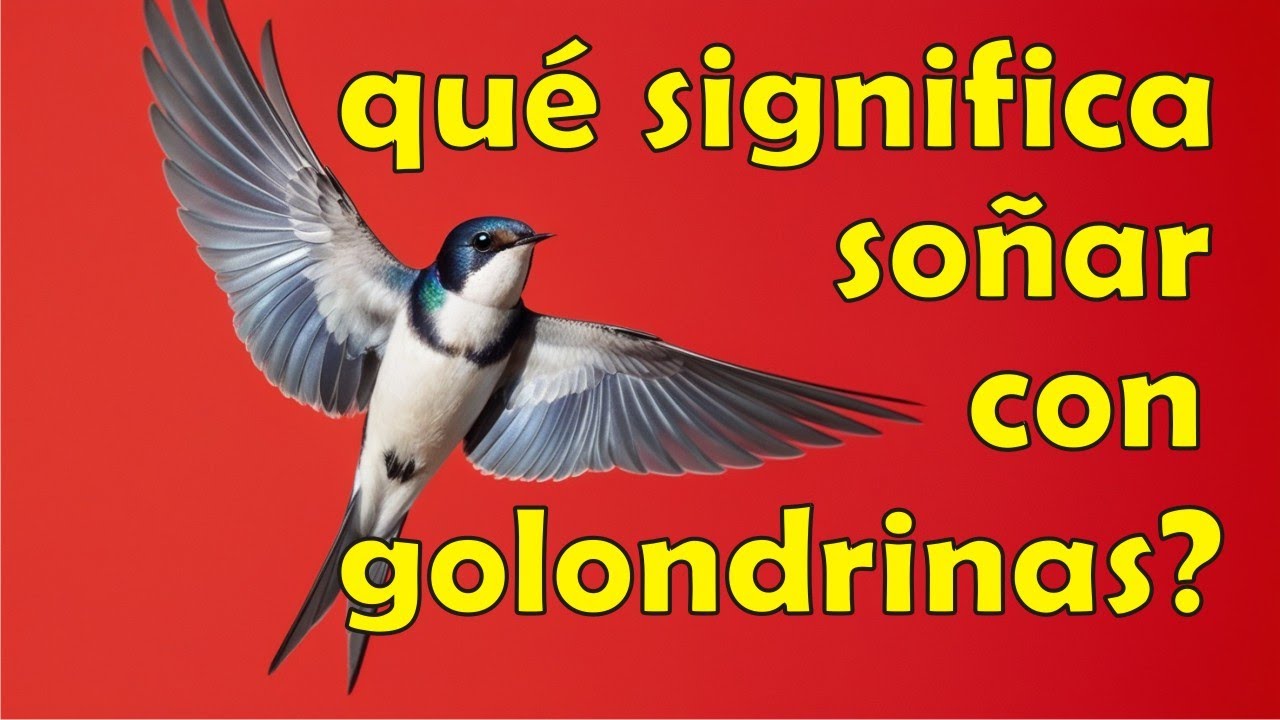 ocas significado y simbolismo de este sueno