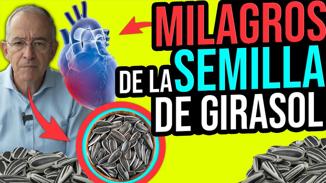 pipas de girasol un sueno lleno de sabores y texturas