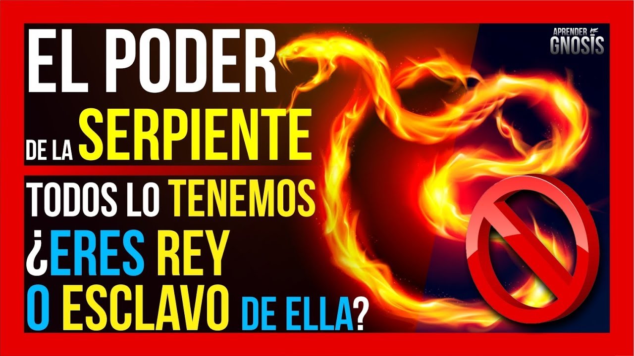 serpientes y la gnosis una conexion onirica reveladora