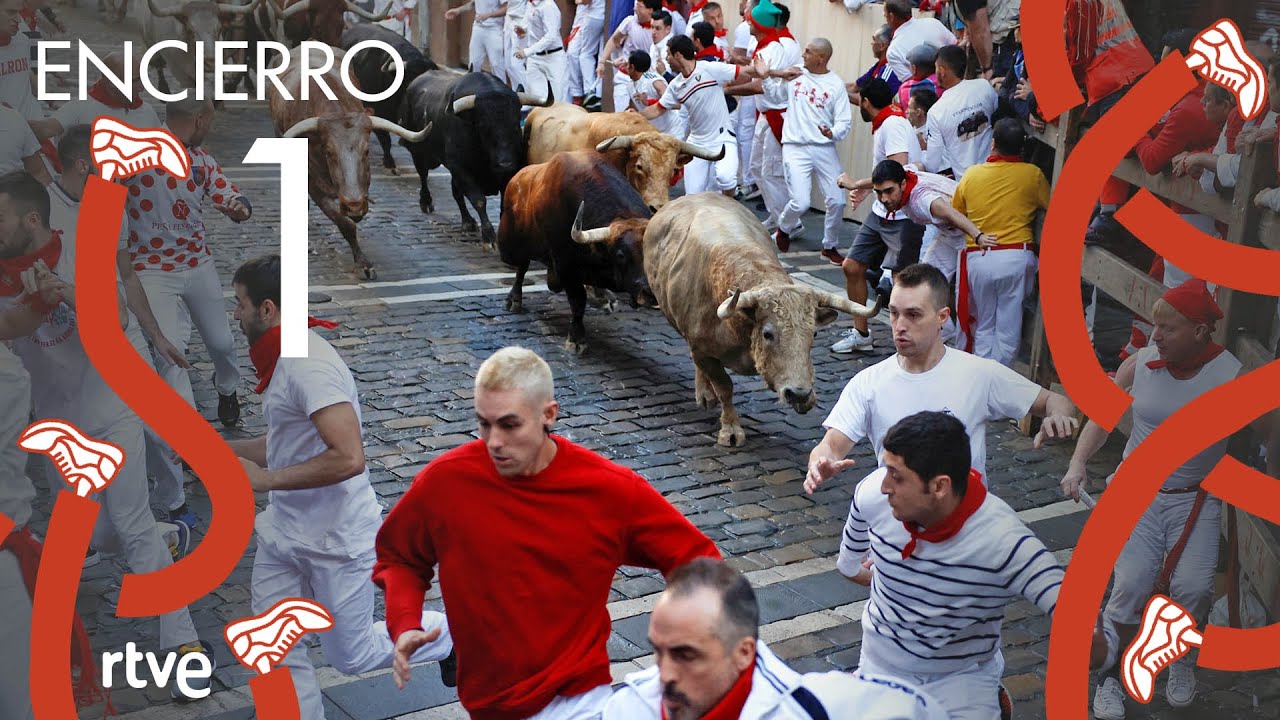 toros por las calles una experiencia emocionante y peligrosa