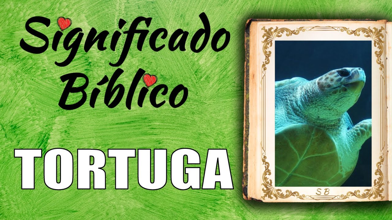 tortugas segun la biblia que significado tiene