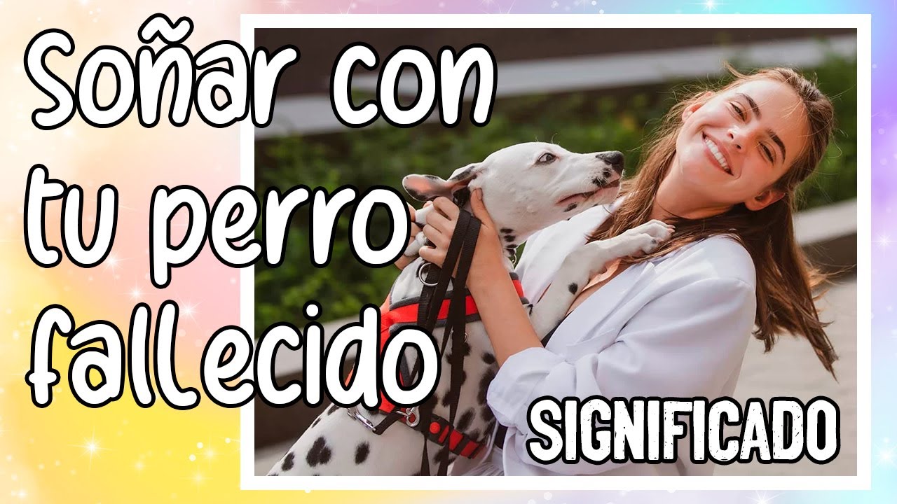 tu perro fallecido vivo un encuentro inesperado en suenos