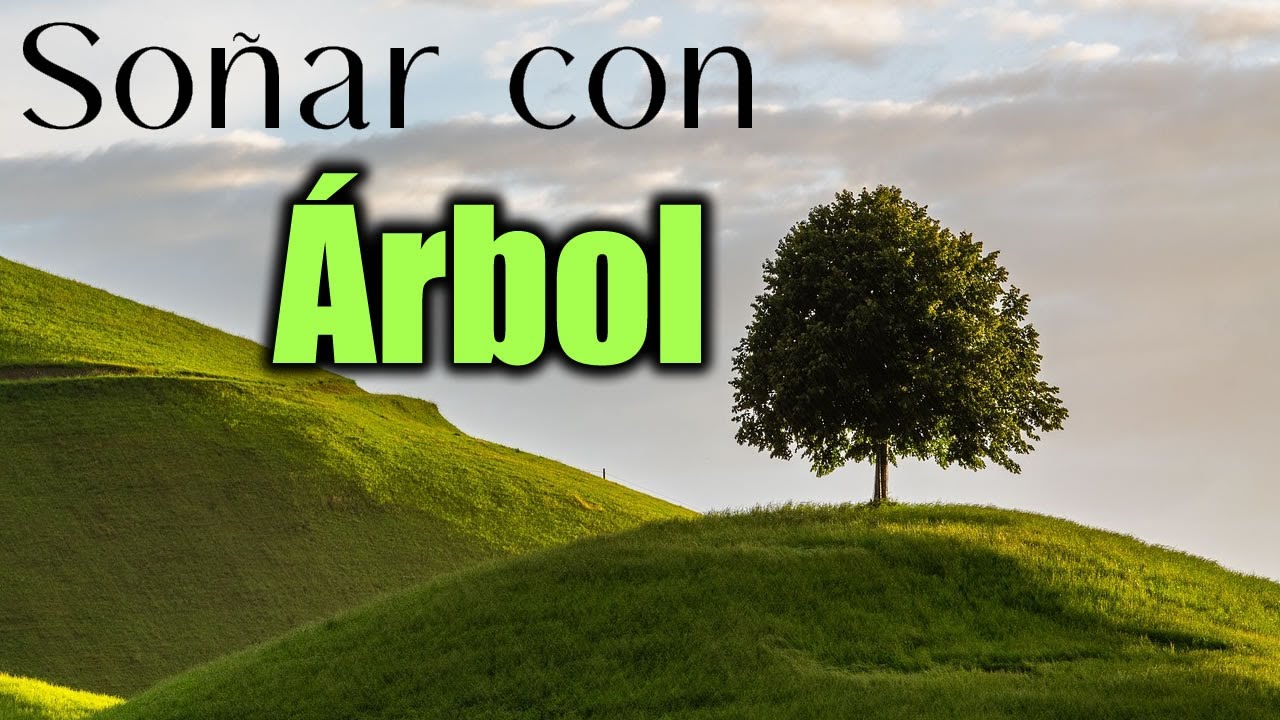 un arbol sin ramas que significa este sueno