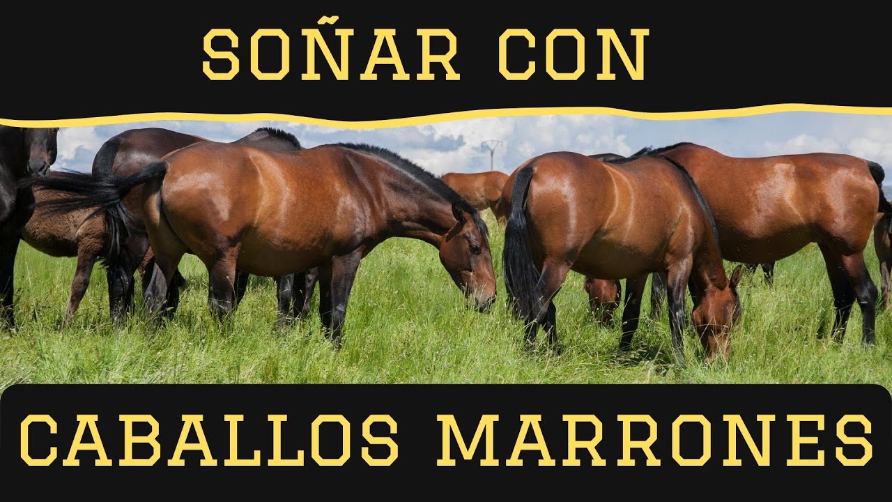 un caballo marron segun la biblia significado y simbolismo