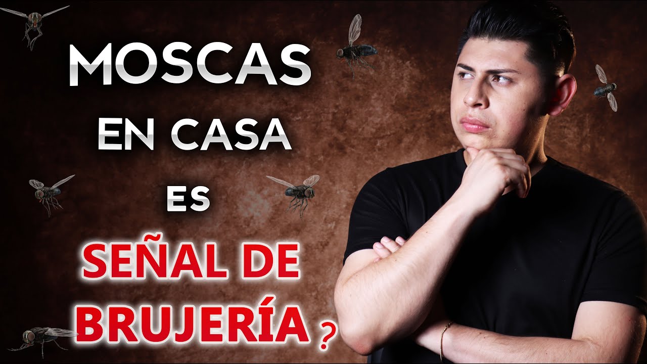 un enjambre de moscas negras